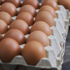 Large Eggs(73g) - Tray of 30 Eggs