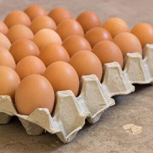 Medium Eggs(62g) - Tray of 30 Eggs